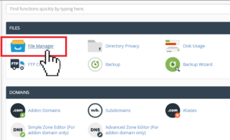 File manager