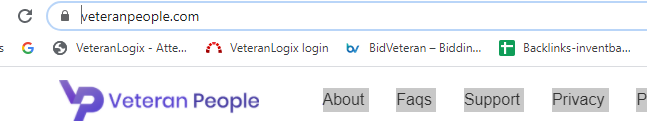 what is website domain